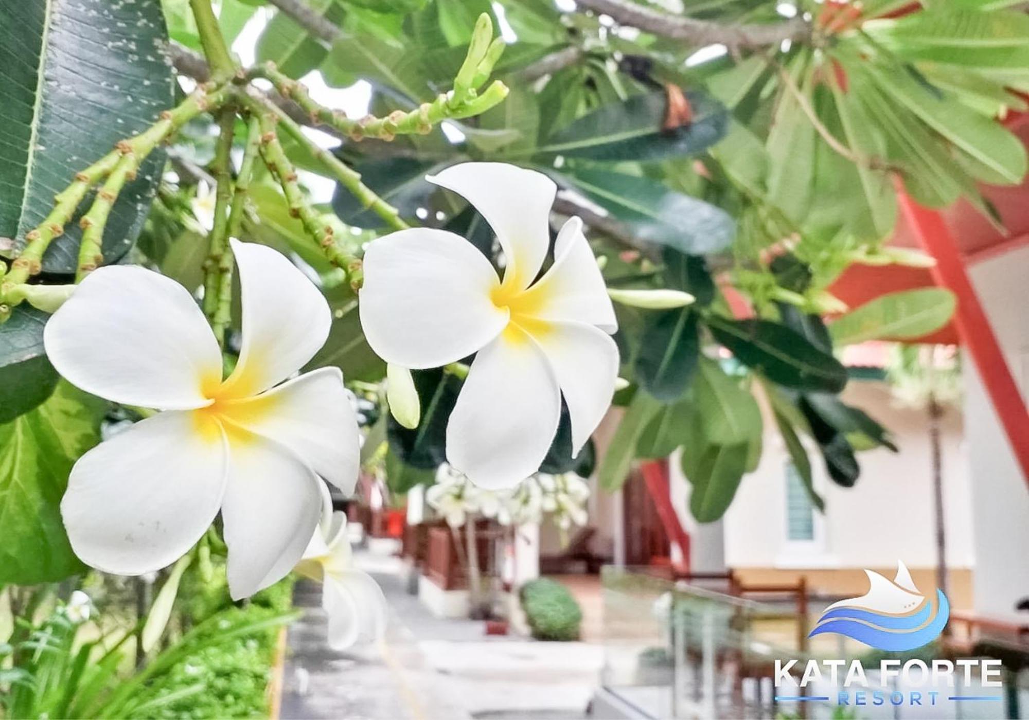 Kata Forte Resort Bagian luar foto
